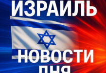 Минздрав сообщает о выявлении овцы, зараженной бешенством
